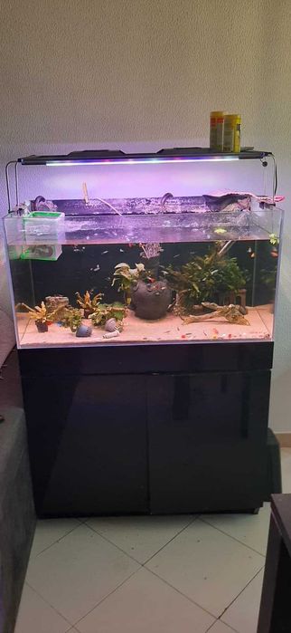 Aquário Agua Salgada 90cm