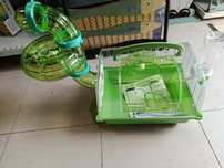 Gaiolas novas + hamster