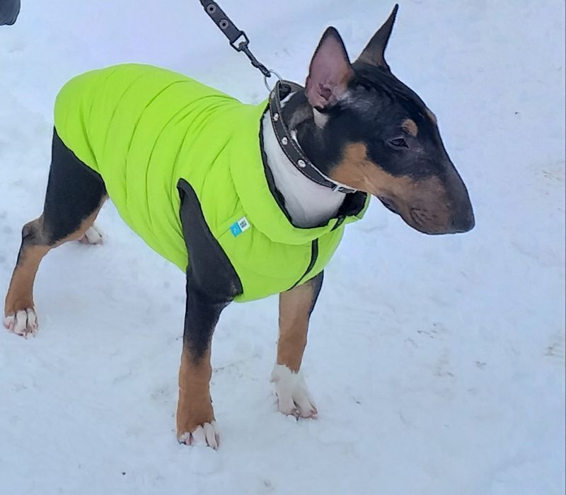 Двусторонняя курточка для собак Airy Vest для средних собак М 45