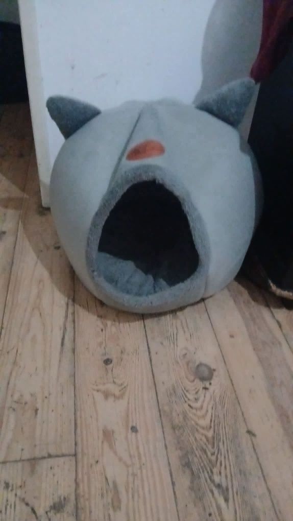 Vendo cama e arranhador
