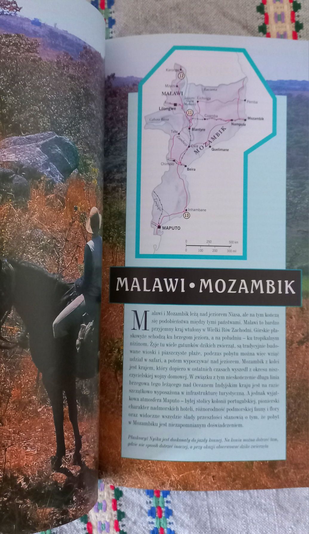 Przewodnik Afryka National Geographic