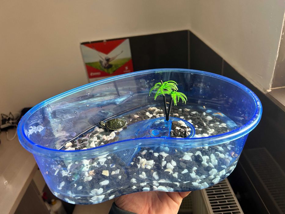 Terrarium dla żółwia lądowego greckiego i obrzeżonego