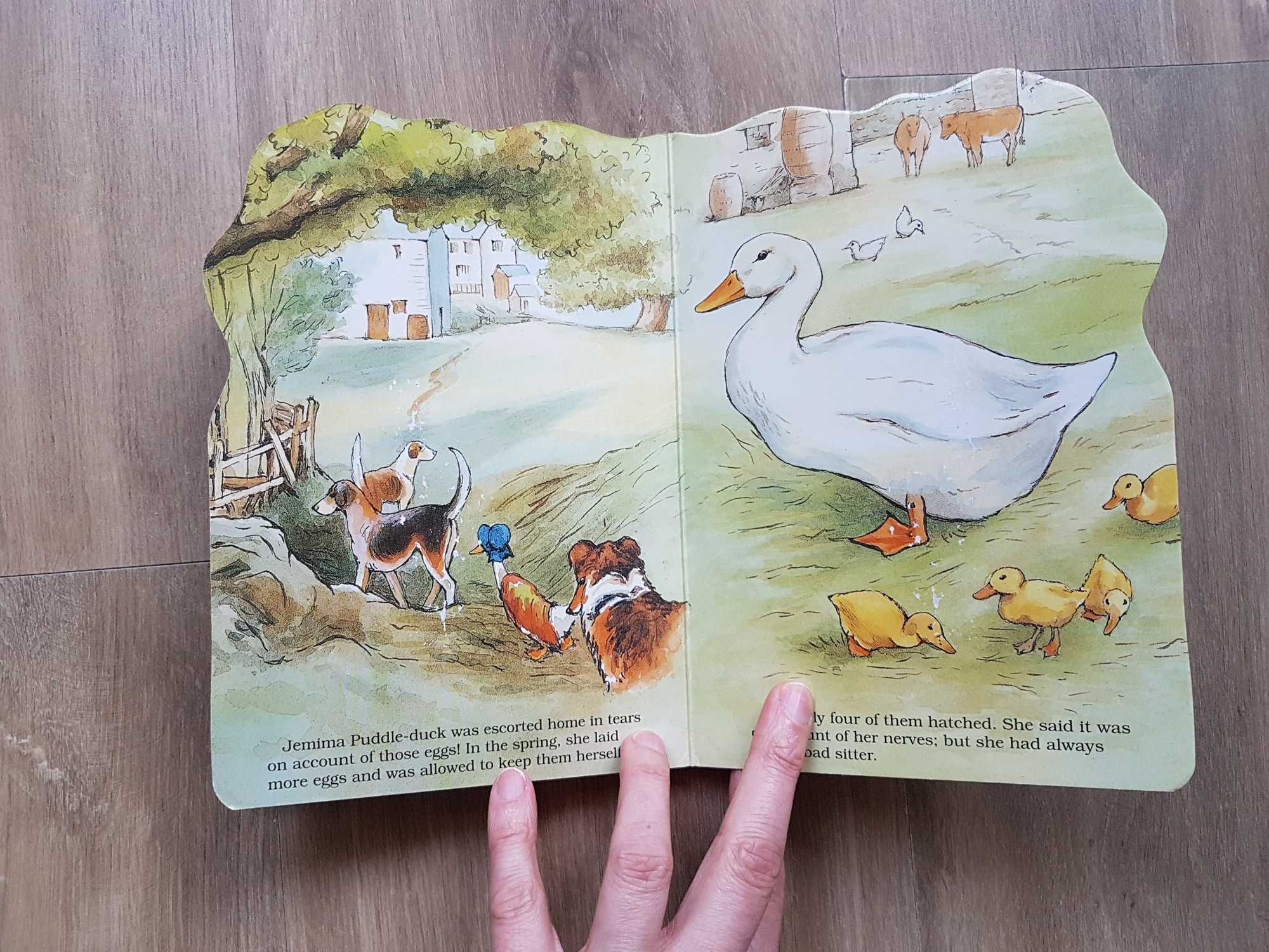 The Tale Of Jemima Puddle-Duck Beatrix Potter Kaczka Tekla Kałużyńska