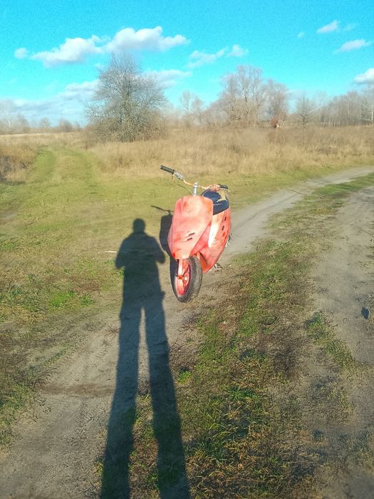 Хонда   діо   27