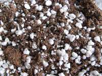 Substracto de turfa+perlite(p/ carnivoras)2 Litros