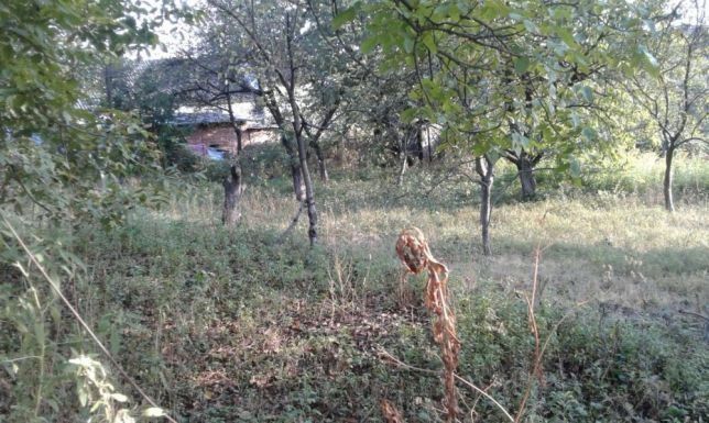 Дві земельні ділянки в хорошому місці