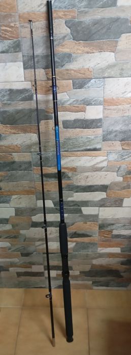 Cana pesca prosargos