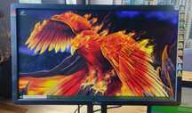 Monitor 21 cali Dell