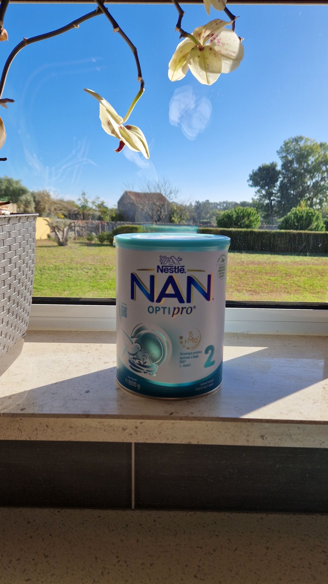Nan Optipro 2 800g