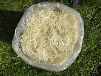 Kapusta Szatkowana Naturalna 10kg Zbieram Zamowienia