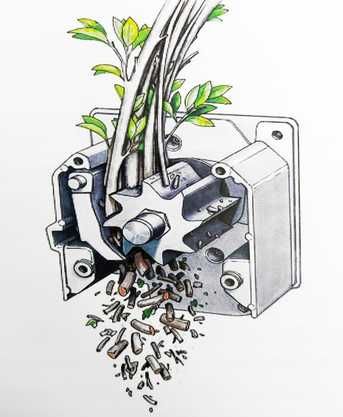 Rębak rozdrabniacz frez walec do gałęzi odpad ogród Einhell 2500