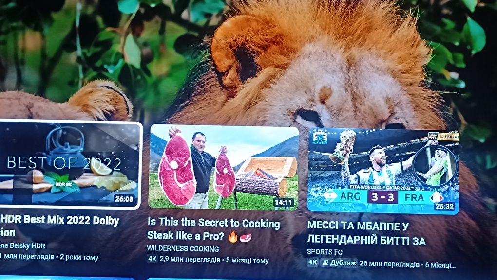 55 дюймов 9 серия Oled 120Hz Sony KD-55AG9  HDR 4K Android