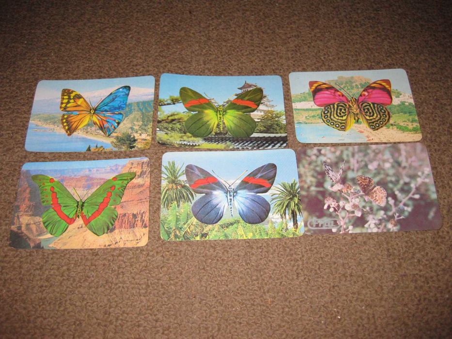 6 Calendários de "Borboletas" Impecáveis!