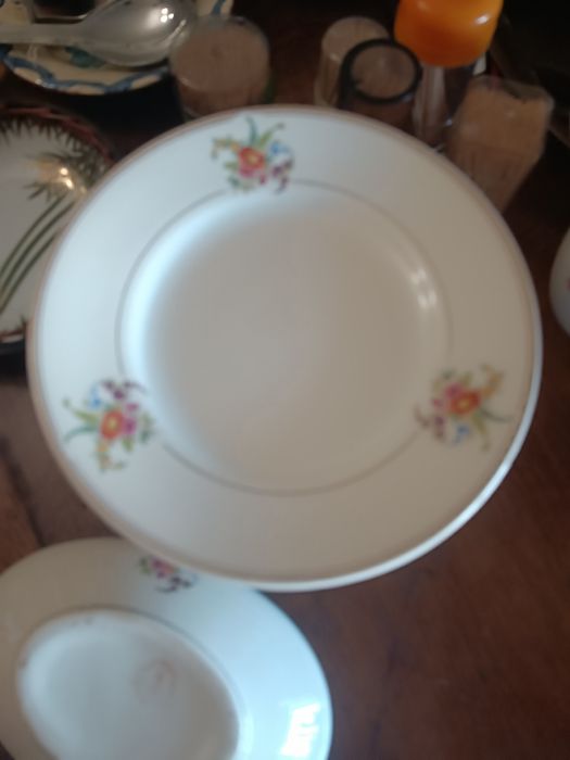 Conjunto de loica cesol