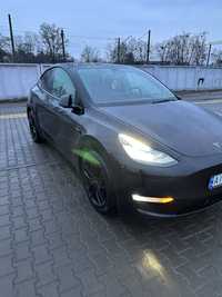 Tesla model Y 2022