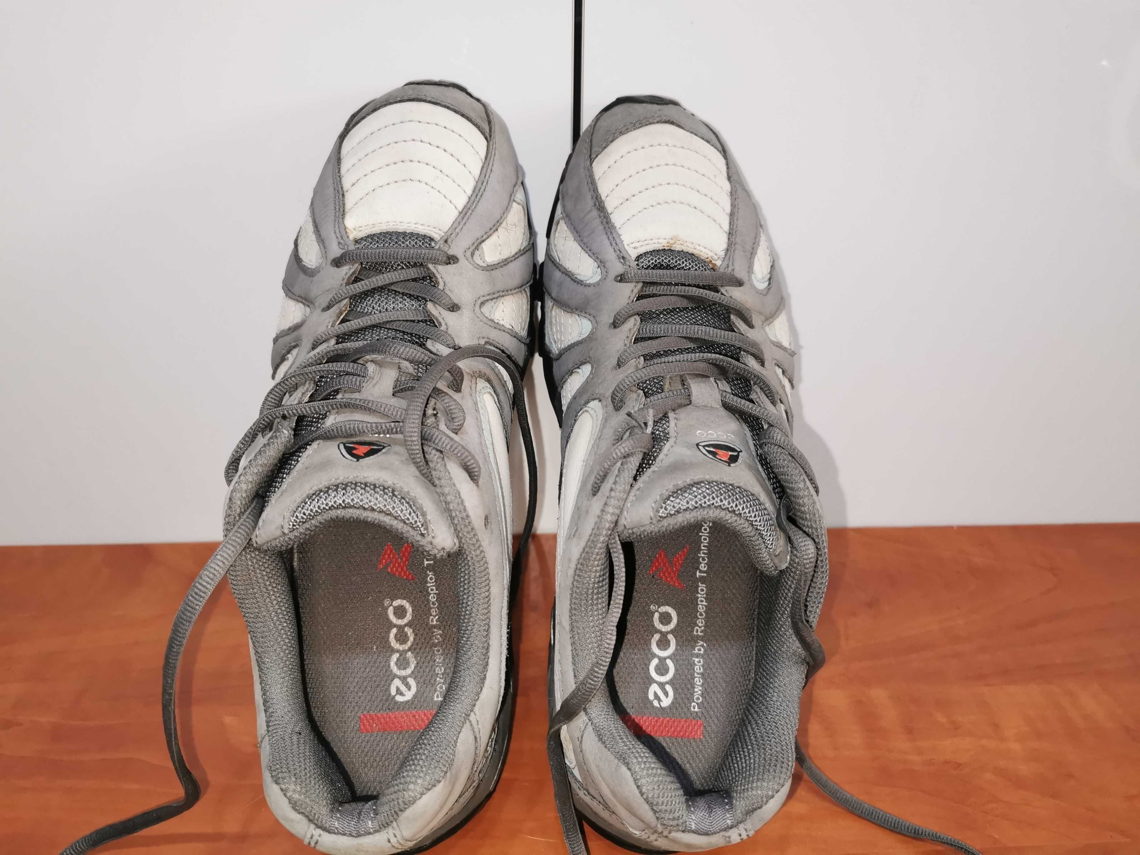 Ecco -receptor Technology - r. 39/26 cm