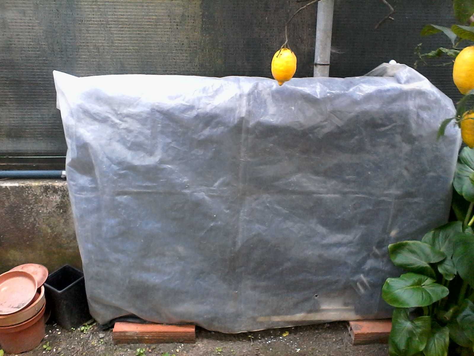 2 Portoes ferro galvanizado / Perafita O Gd 90€ o pq 60€