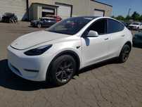 tesla model Y 2025