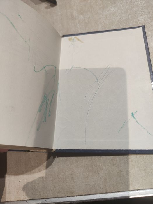 Słownik niemiecko- polski