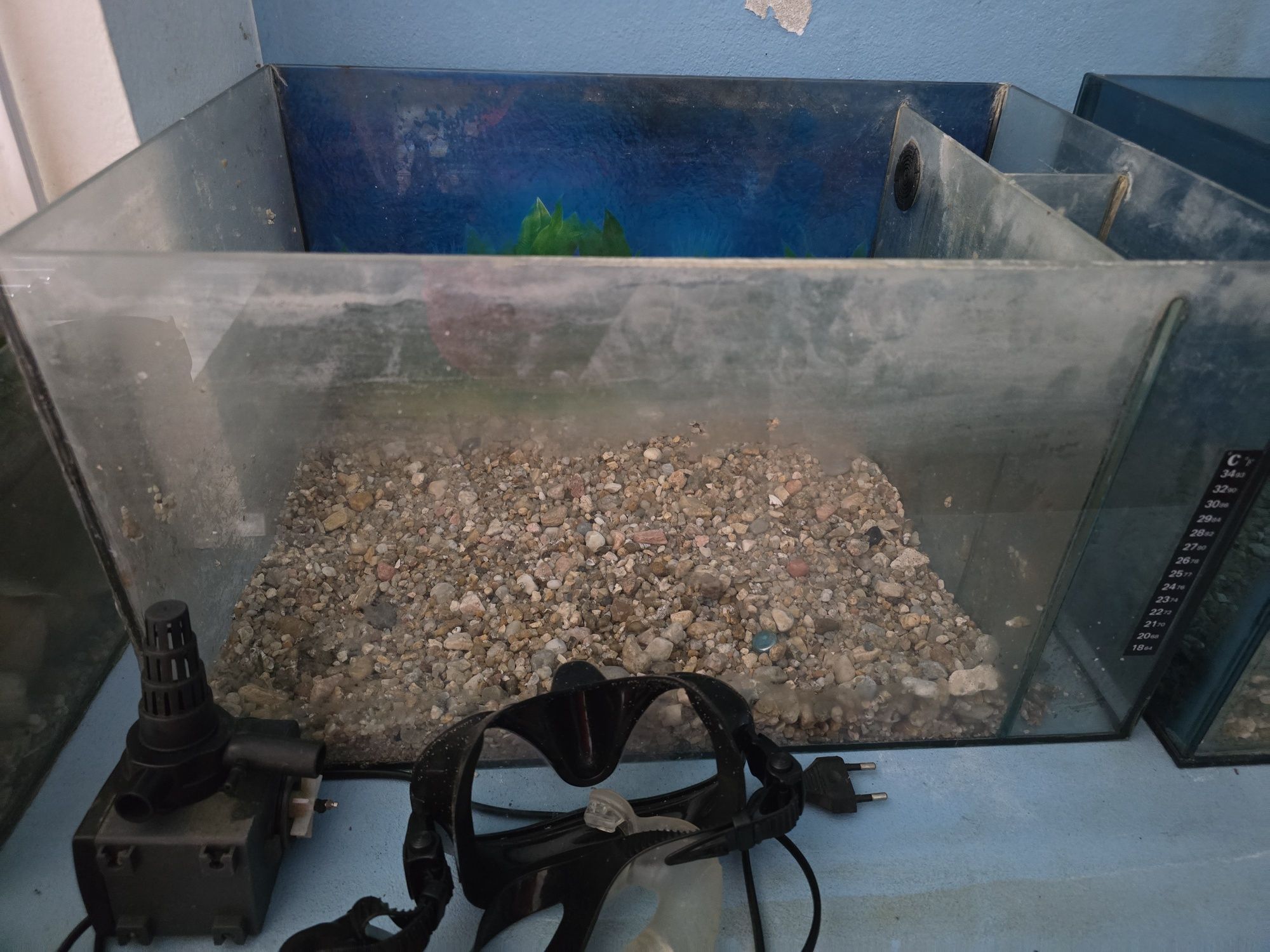 Três Aquários com 50L