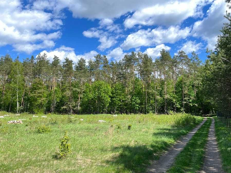Uzbrojona działka budowlana w Radomku. Cisza, las i spokój.