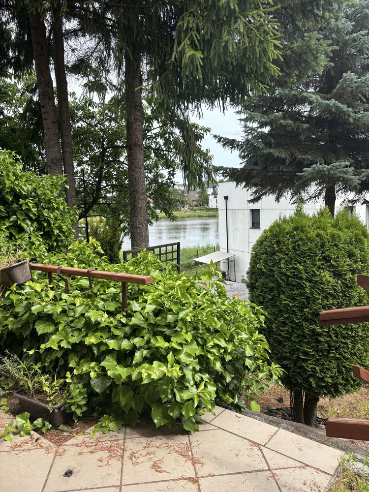 Ogródek dzialkowy ROD Orlik Gdańsk Jasień Adamowicza