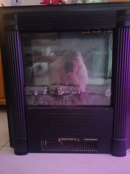 Grzejnik elektryczny -kominek