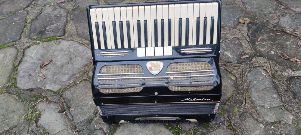Zabytkowy akordeon guzikowy - DUŻY rozmiar - Rzadkość