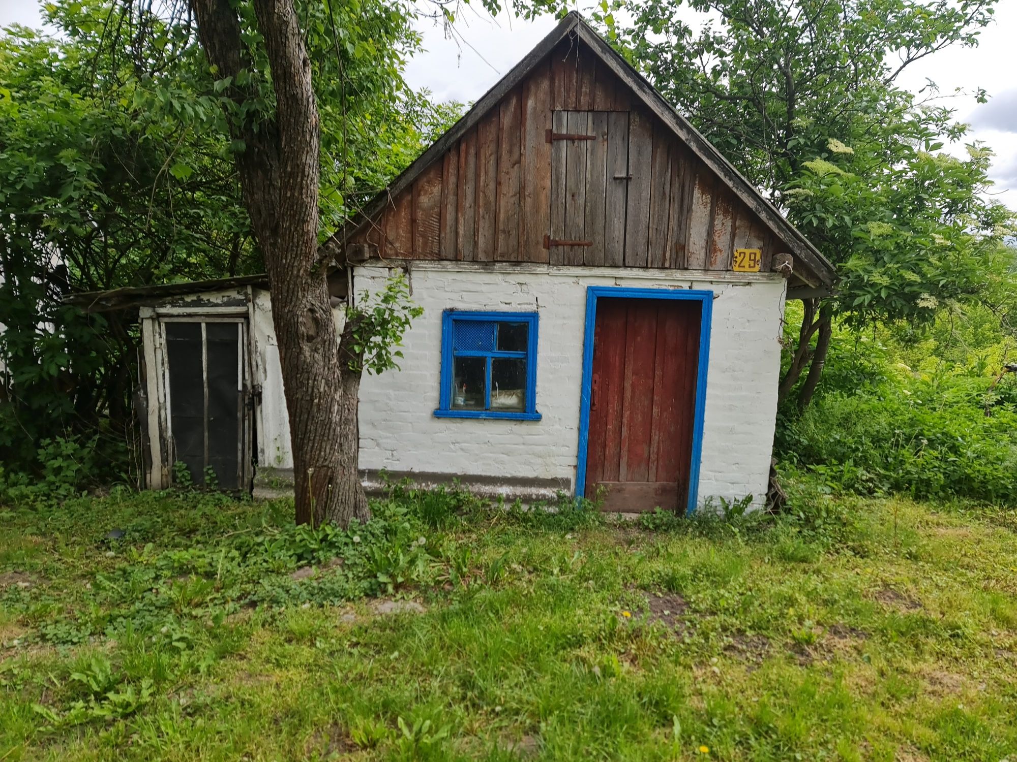 Будинок від власника Київська область