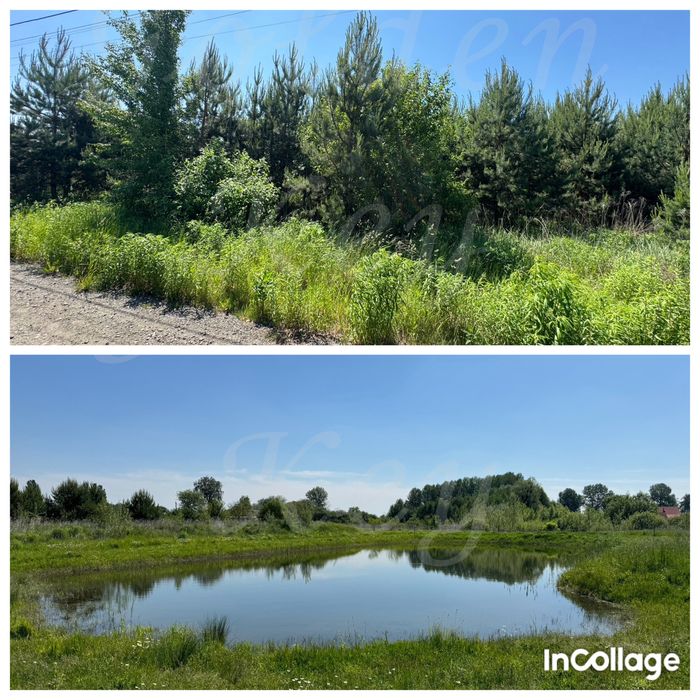 Продам Земельну Ділянку 10сотих,ЛІС,ОЗЕРО,середСОСЕН,закрита територія