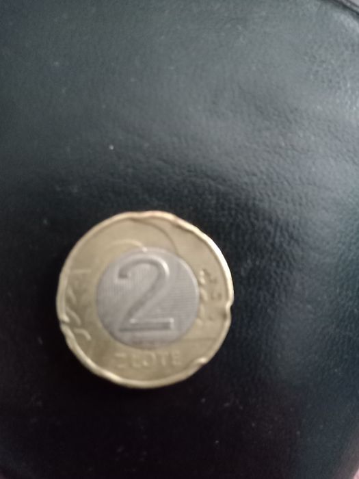 Posiadam monetę dwa złote