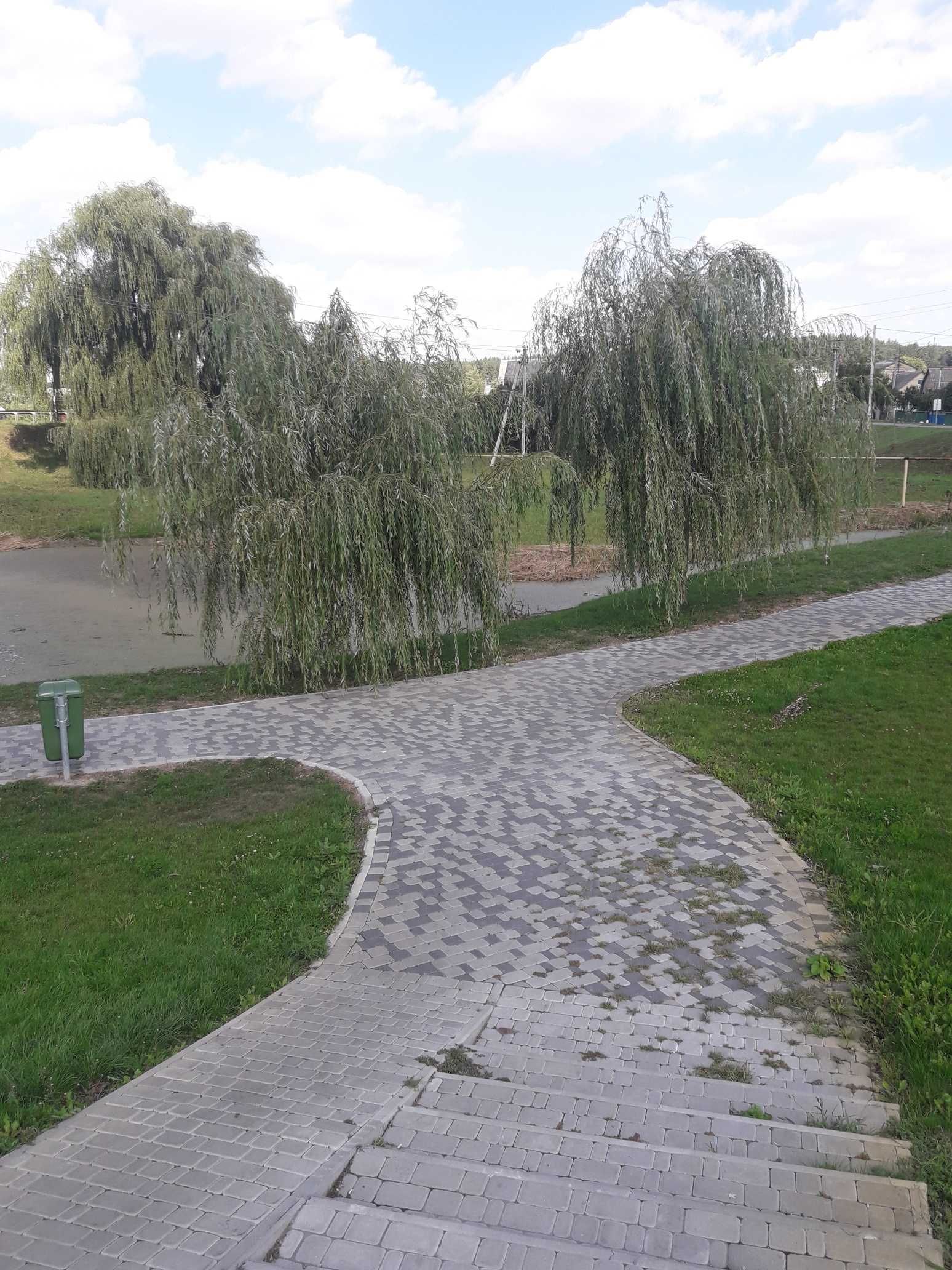 Віта поштова, район  Глейки. вул. Ярослава Мудрого. 15 соток  в лісі.