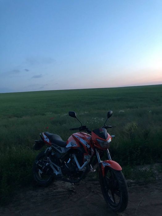 Геон пантера н200