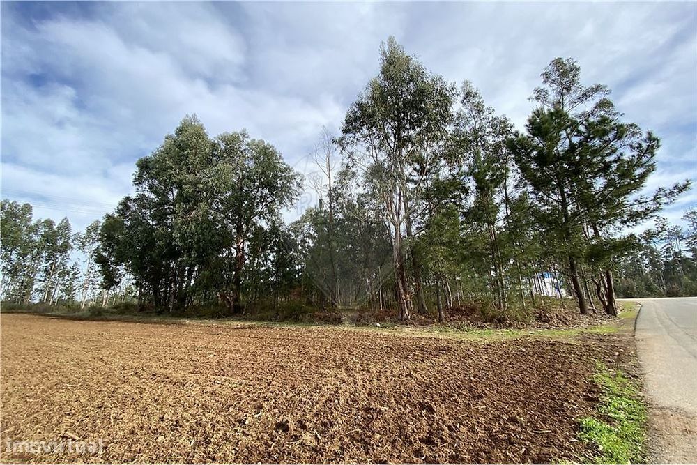 Terreno  para venda