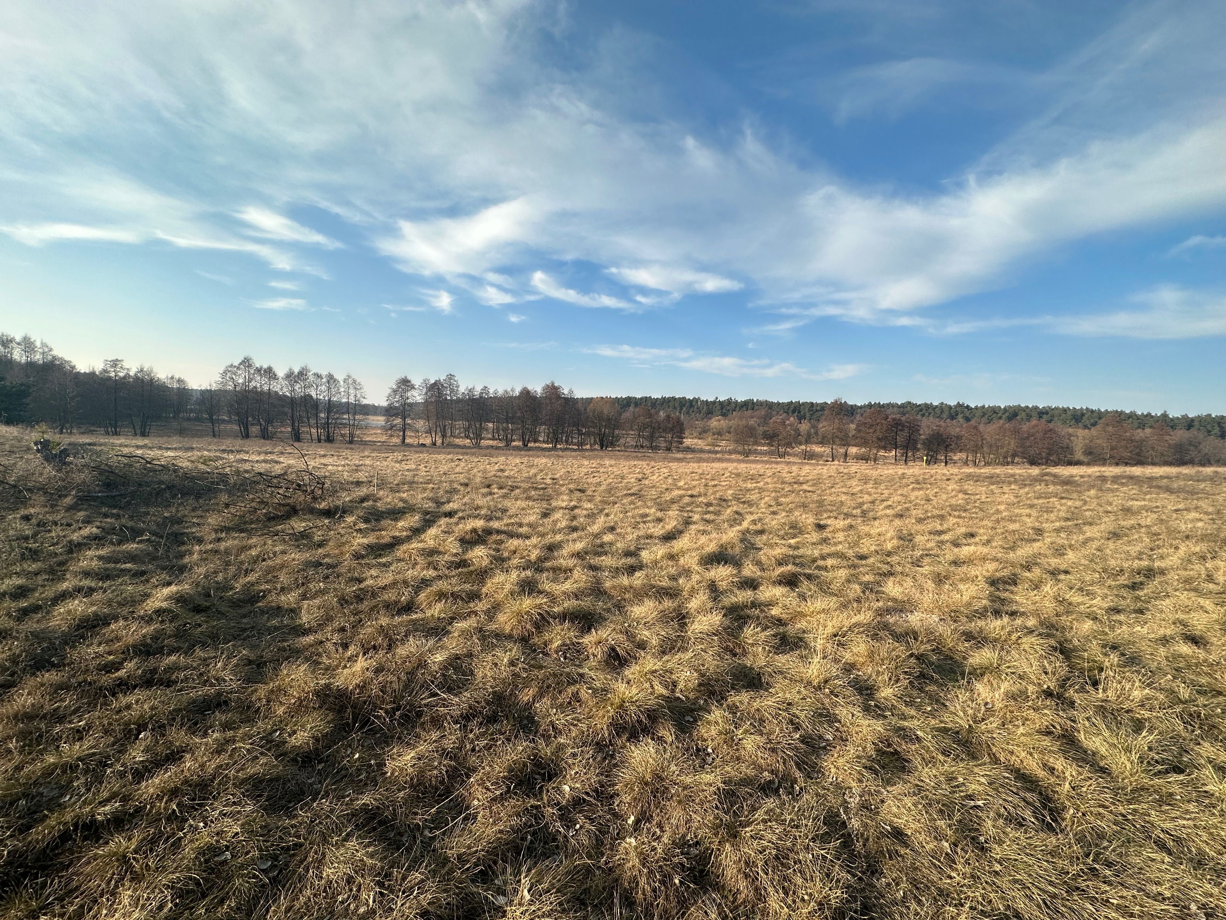 Działka budowlana 29a + 29a z gotowym projektem domu. Natura 2000