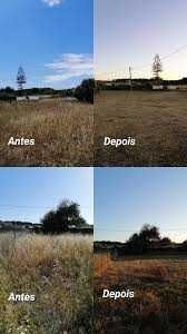 Limpezas de Mato