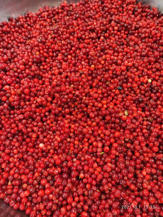 Брусника, брусниця карпатська ( клюква) перетерта з цукром. Брусниця