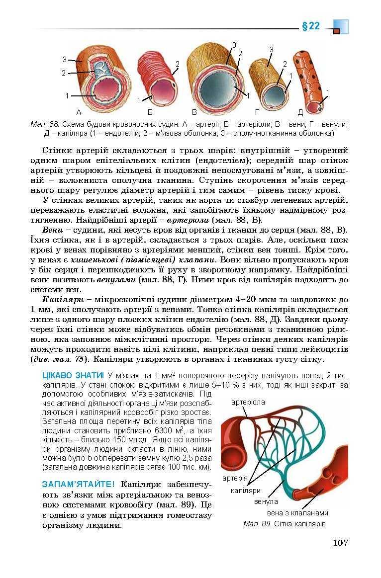 Підручник Біологія Н. Матяш, 8 клас 2016р