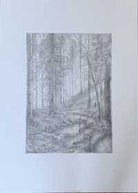 Rysunek lasu wykonany ołwkiem