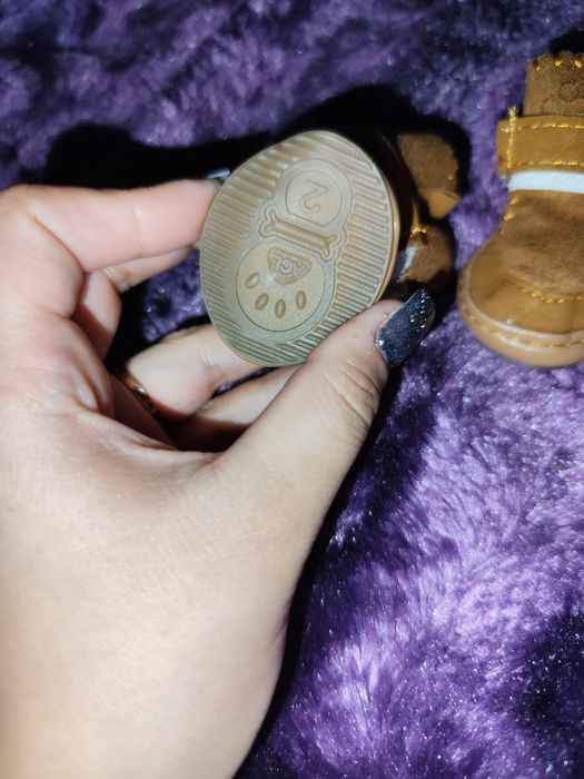 Взуття для собачки