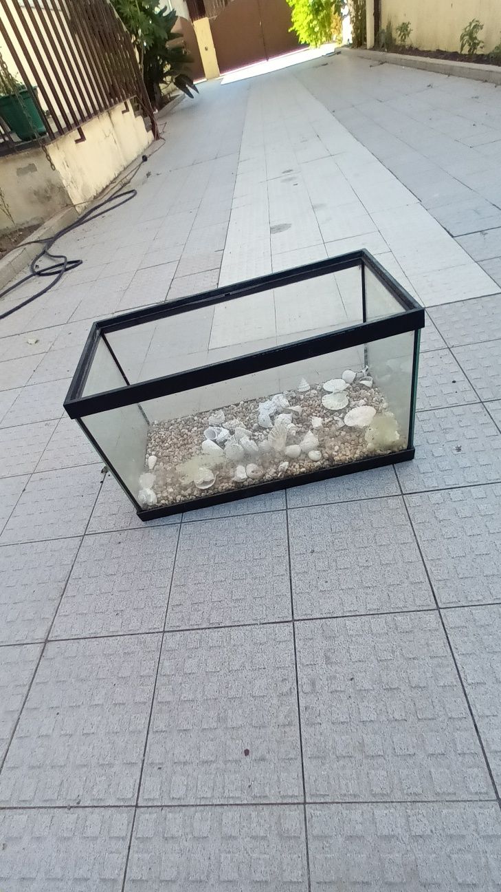Aquário com pedras