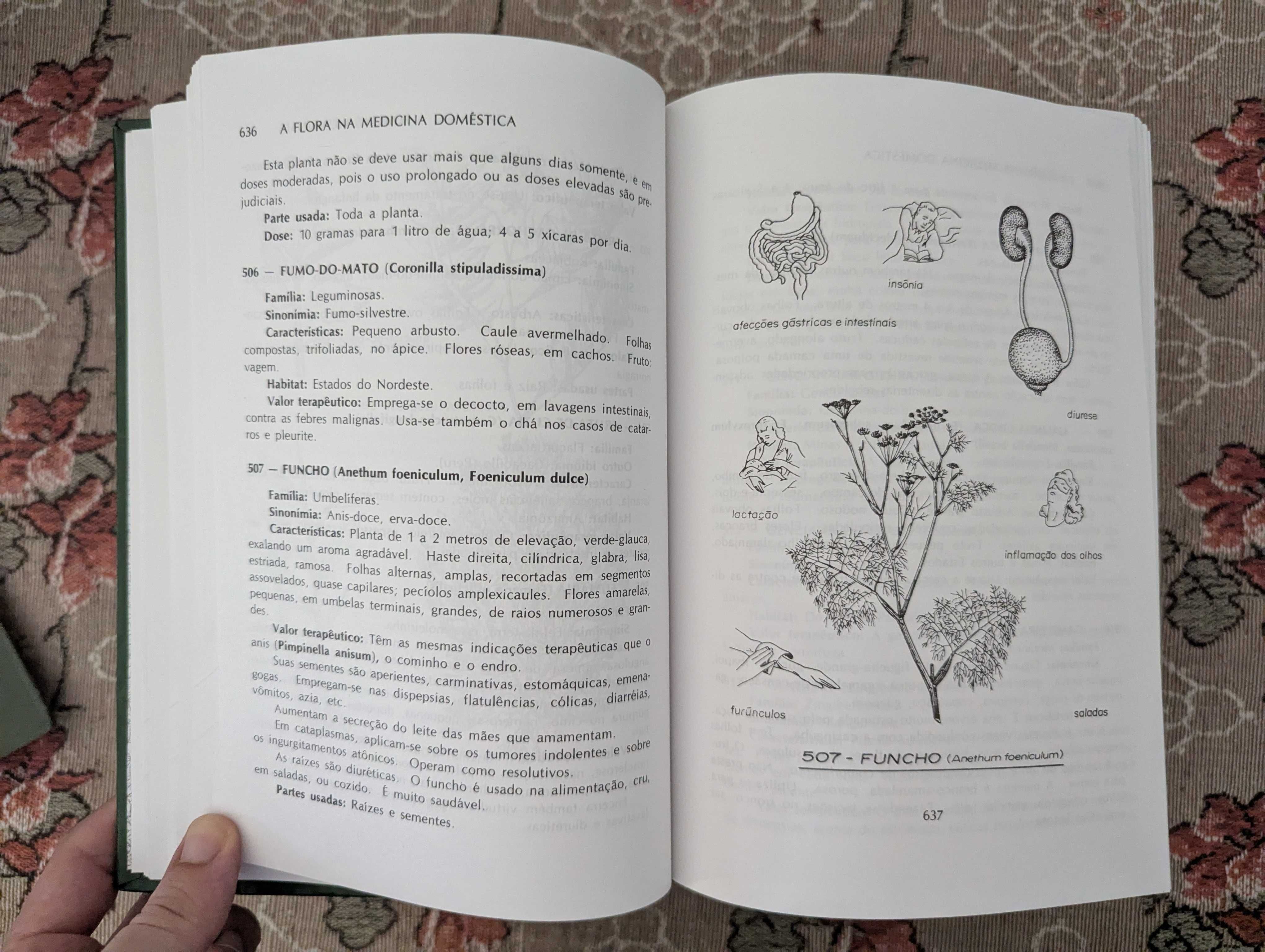 A Flora na Medicina Doméstica