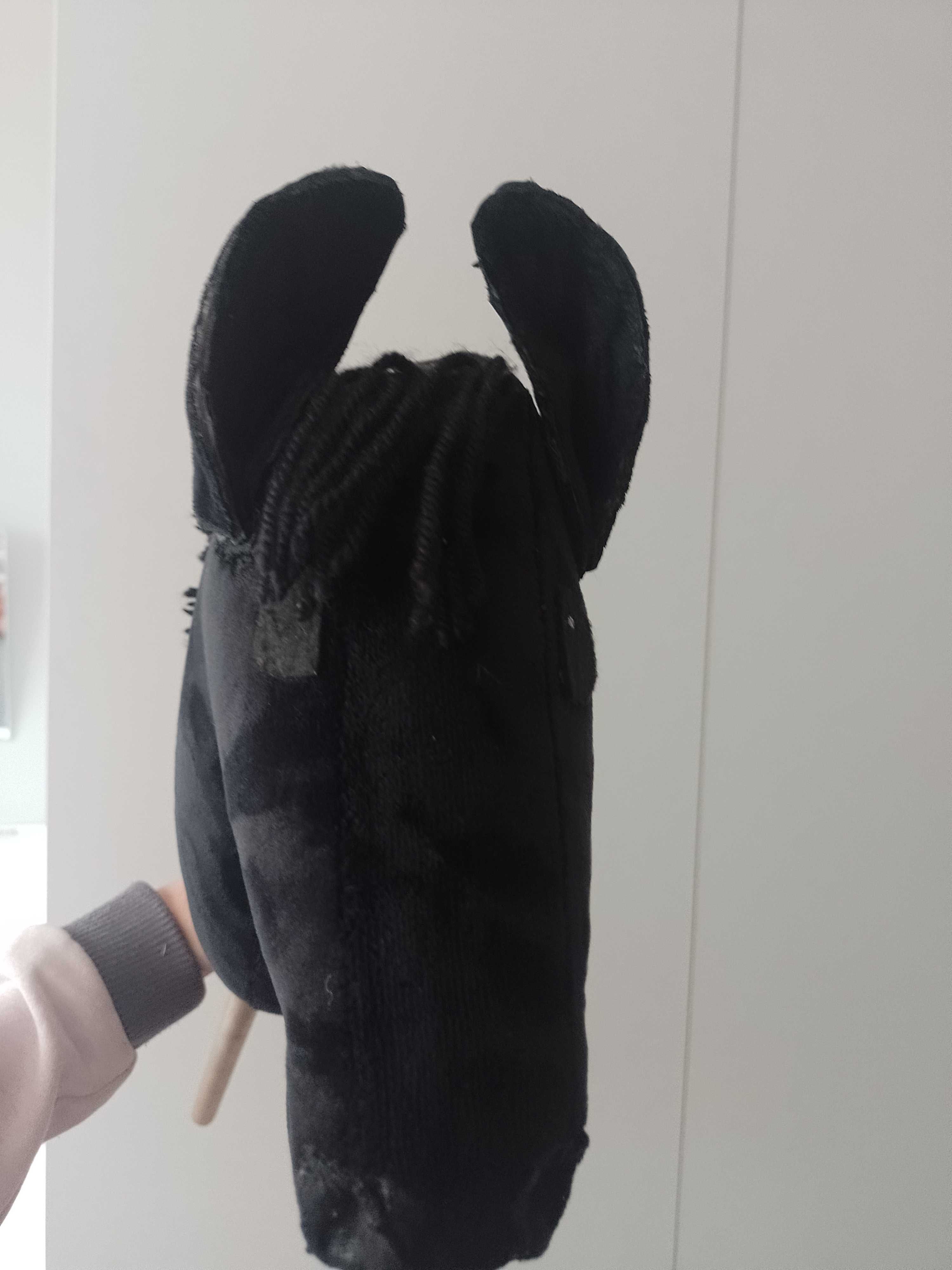 Hobby horse kary