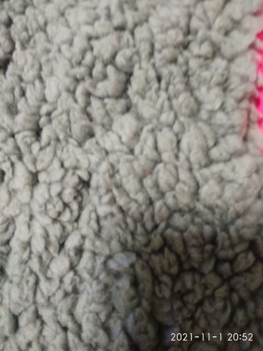 Одежда для домашнего любимца, курточка, накидка