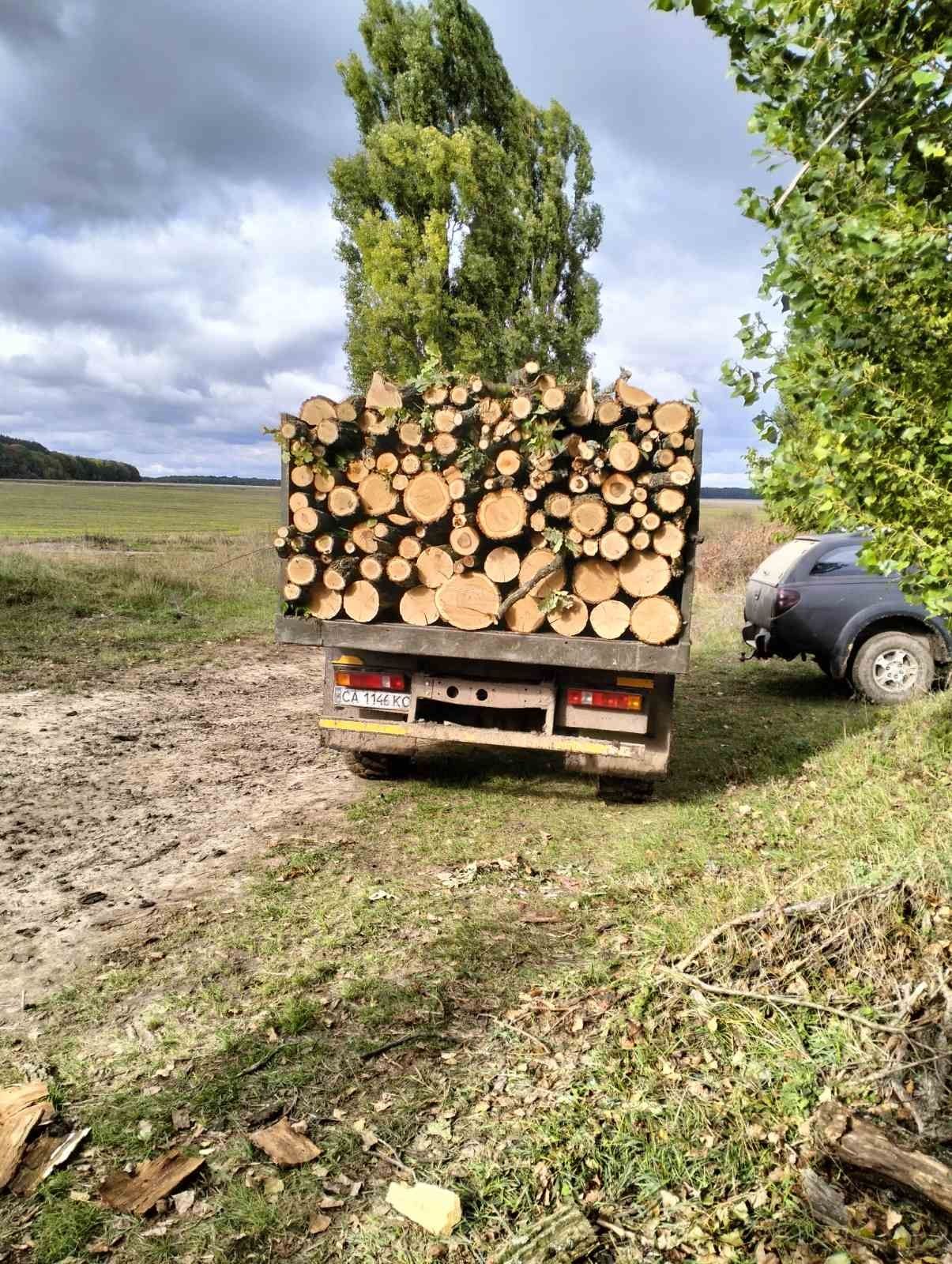 Дрова малютянка дешево!! Дуб дліна 31-35см см!!