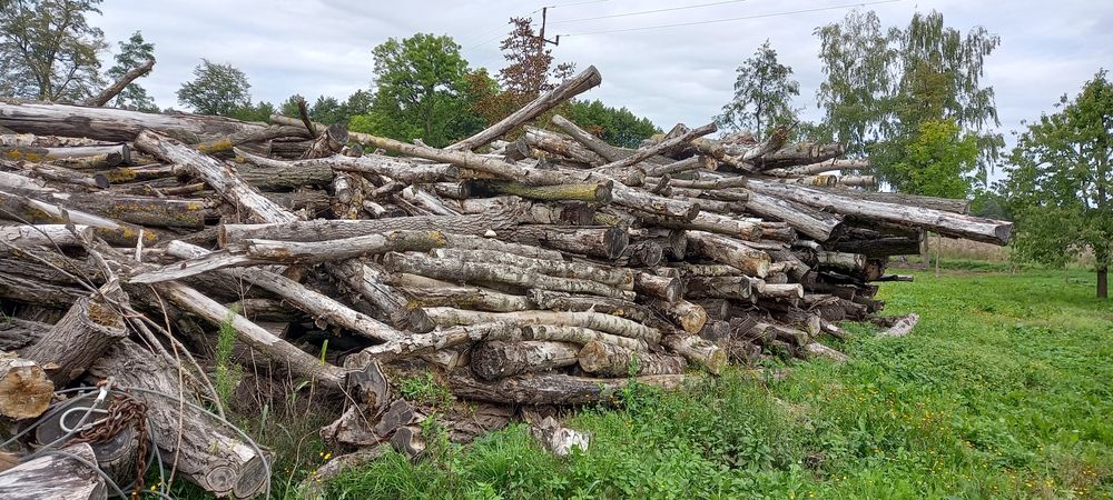 Super drewno na opał