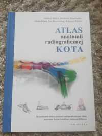 Atlas anatomii radiograficznej kota