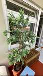 Planta Artificial Ikea