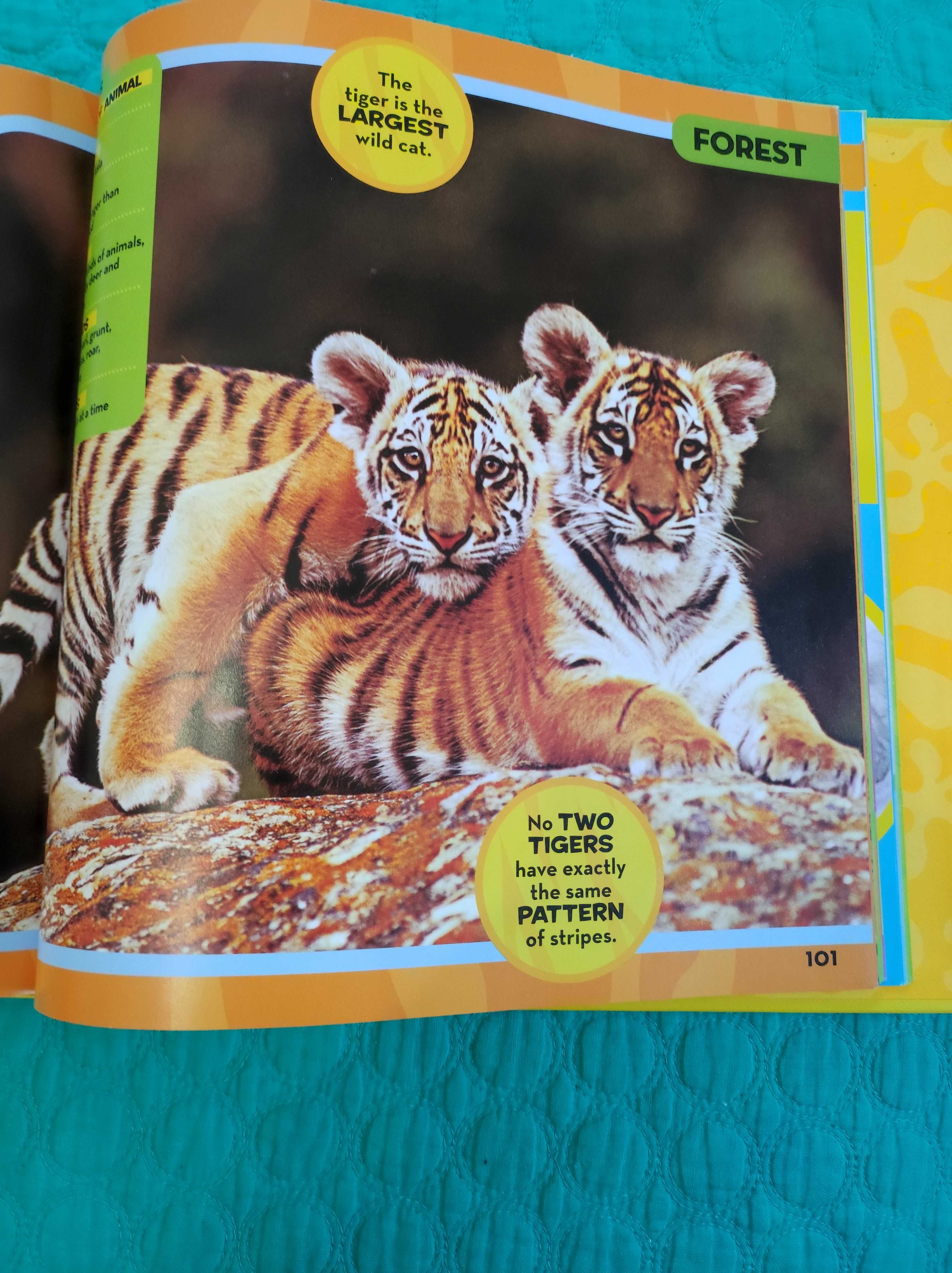 National Geographic Little Kids-First Big Book of Animals portes incl