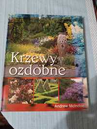 Krzewy ozdobne -Andrew Mclndoe